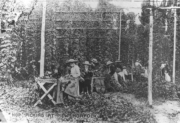 Full-size image