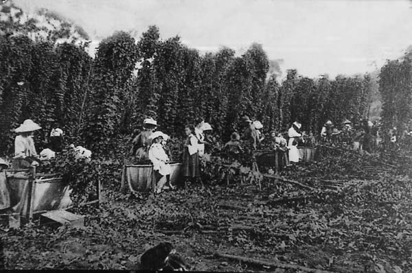 Full-size image
