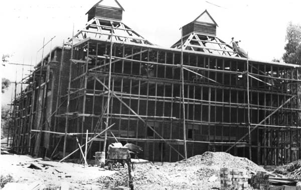 Full-size image