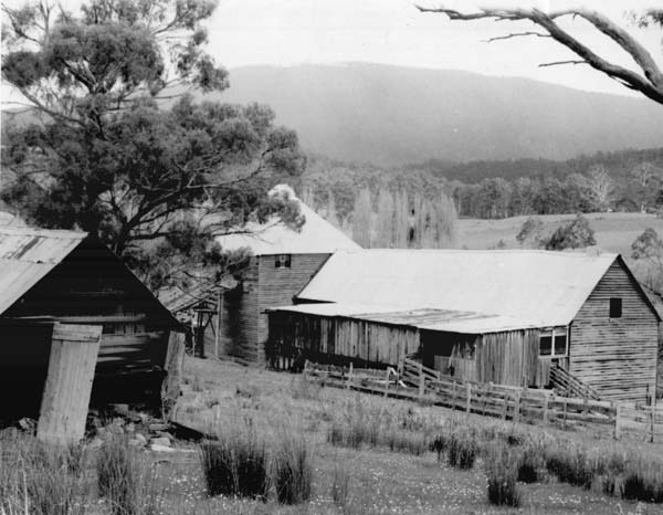 Full-size image