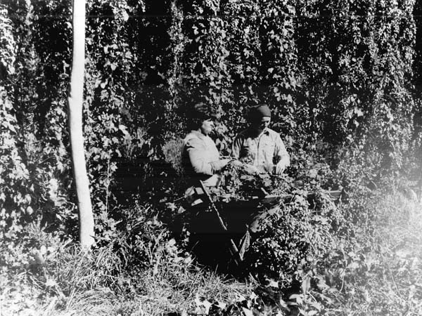 Full-size image