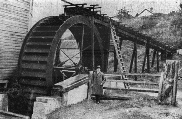 Full-size image