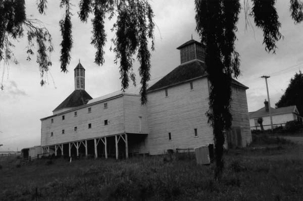 Full-size image