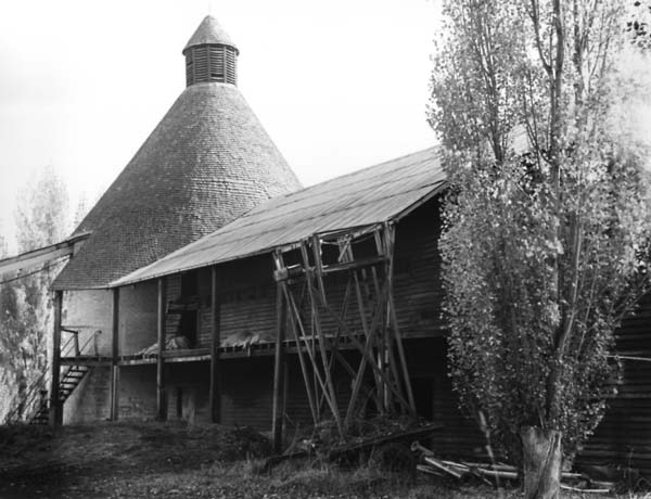Full-size image