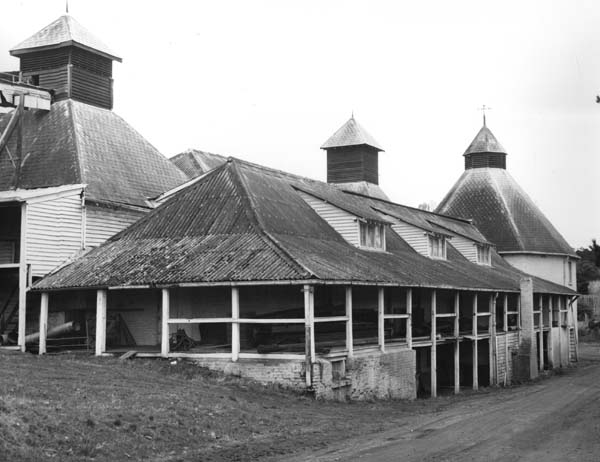 Full-size image