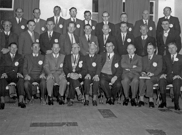 Full-size image