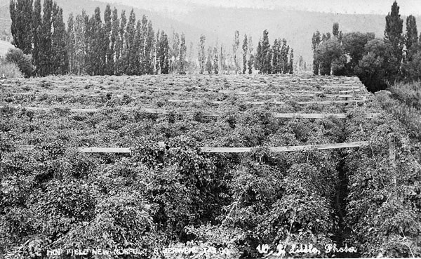 Full-size image