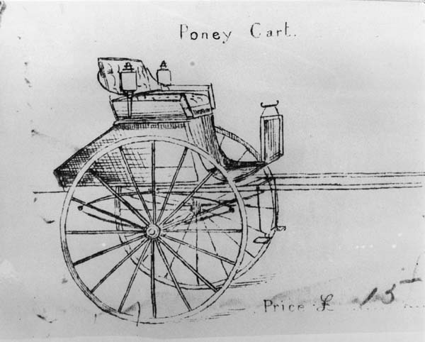 Full-size image