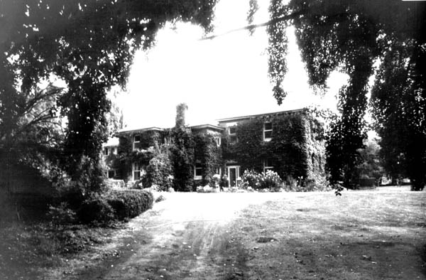 Full-size image
