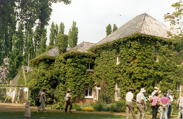 Full-size image