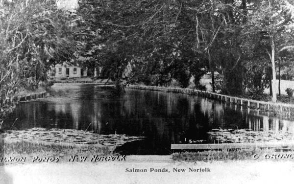 Full-size image