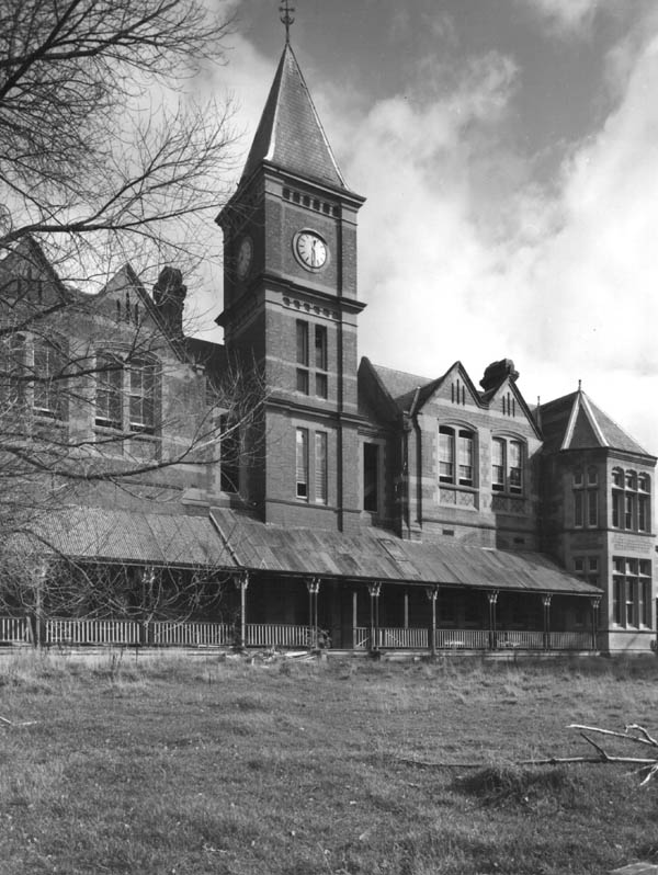 Full-size image
