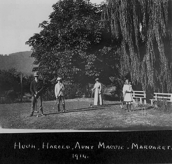 Full-size image
