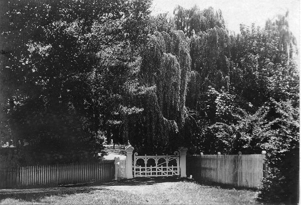 Full-size image