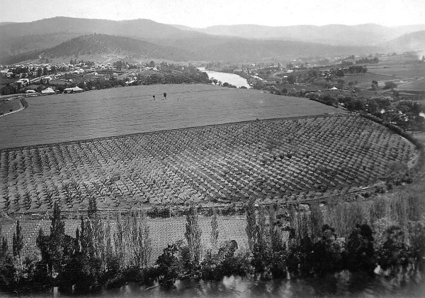 Full-size image