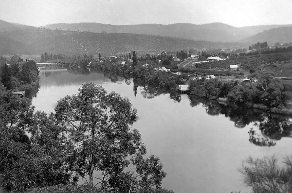 Full-size image