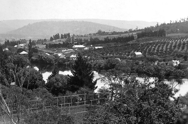 Full-size image