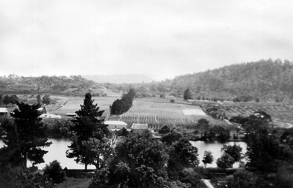 Full-size image