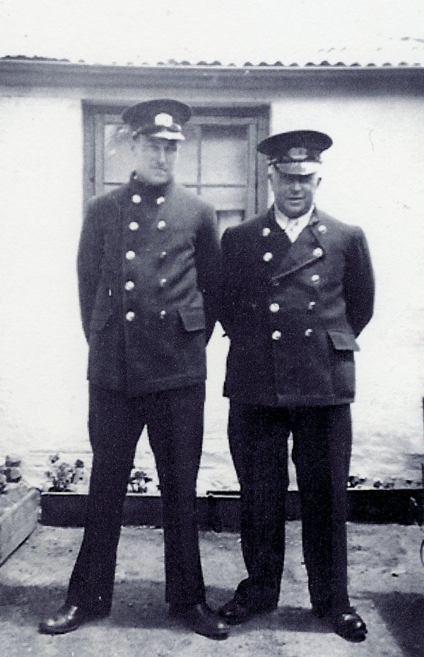 Full-size image