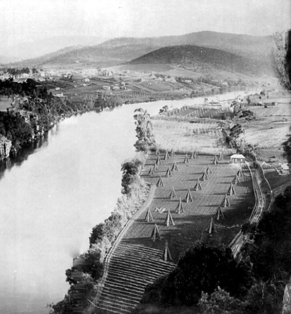 Full-size image