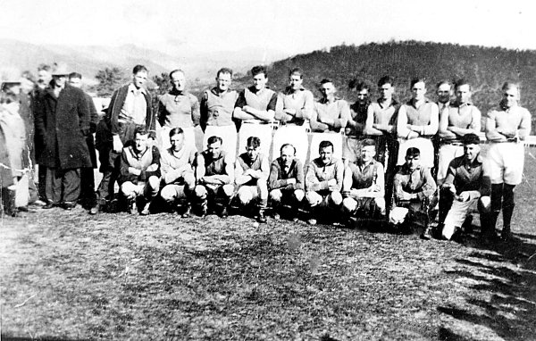 Full-size image