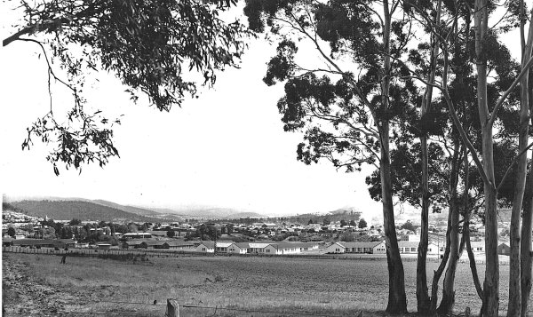 Full-size image