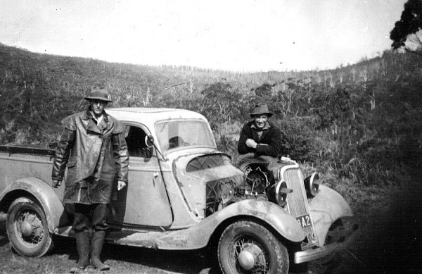 Full-size image