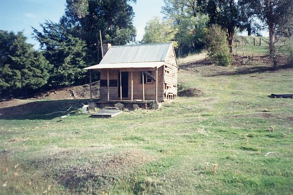 Full-size image