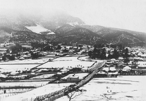 Full-size image