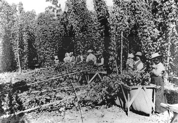 Full-size image