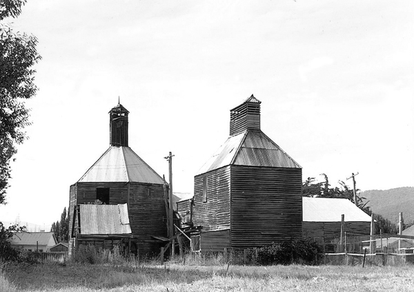 Full-size image