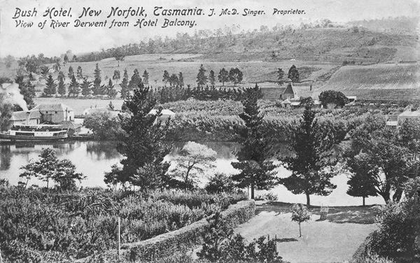 Full-size image