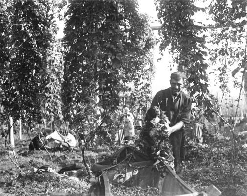 Full-size image