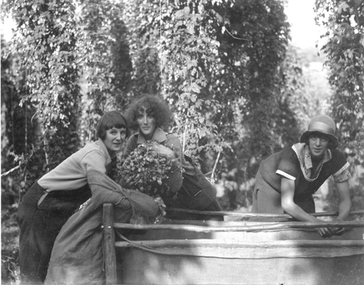 Full-size image