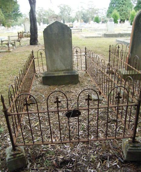 Full-size image