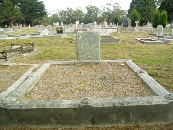 Full-size image
