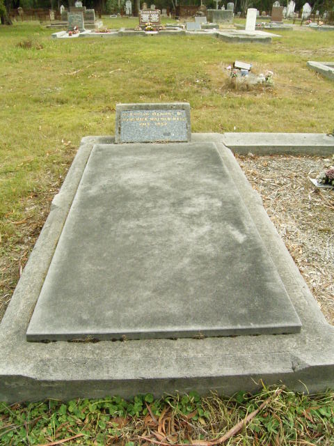 Full-size image