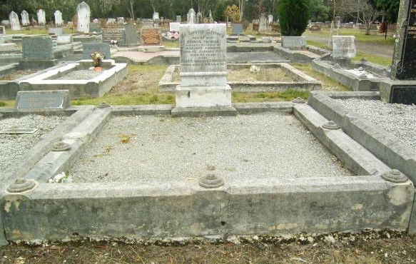 Full-size image