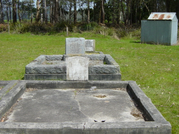 Full-size image