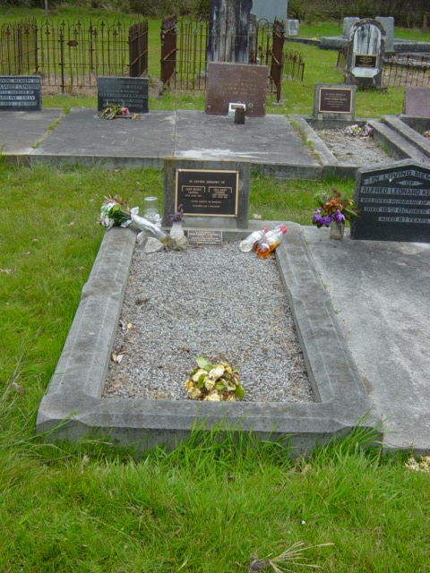 Full-size image