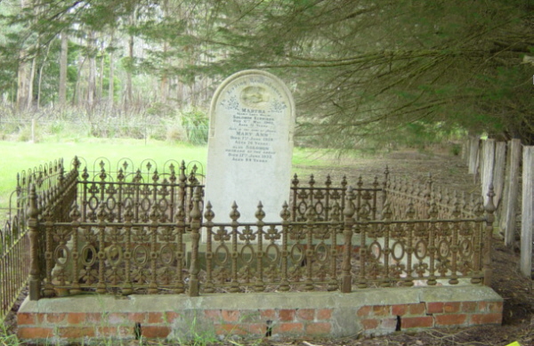 Full-size image