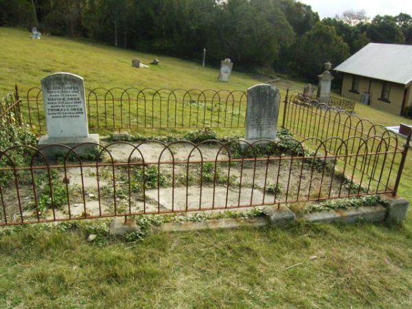 Full-size image