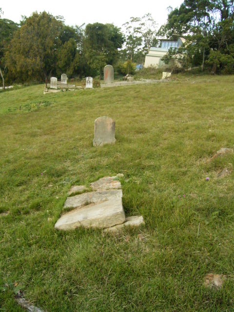Full-size image