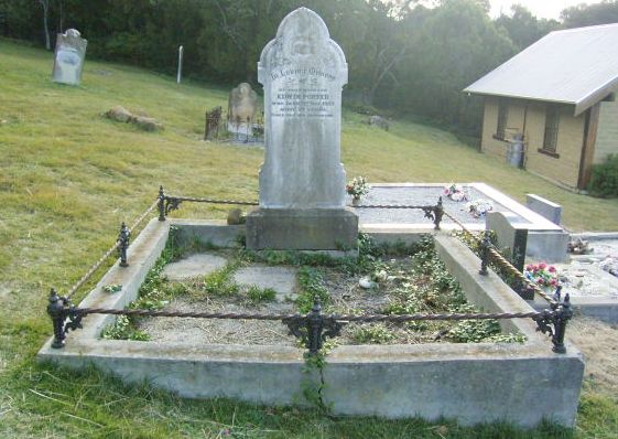 Full-size image