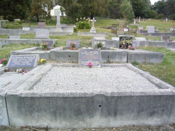 Full-size image