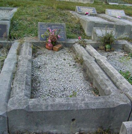 Full-size image