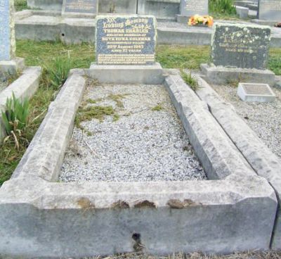 Full-size image