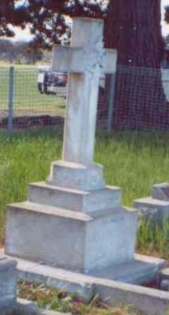 Full-size image