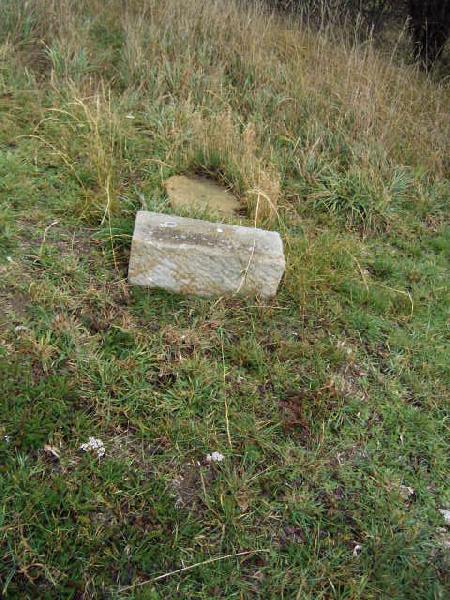 Full-size image