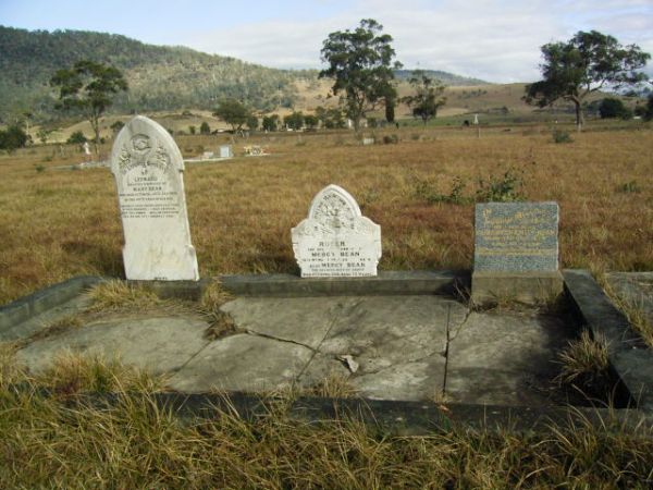 Full-size image